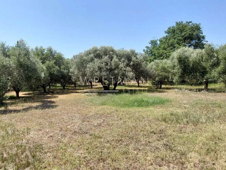 Villa Lorgues - 4 chambres - 150m²