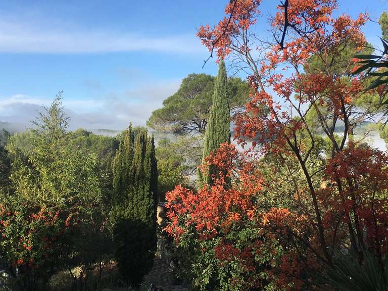 Villa Lorgues - 8 chambres - 300m²