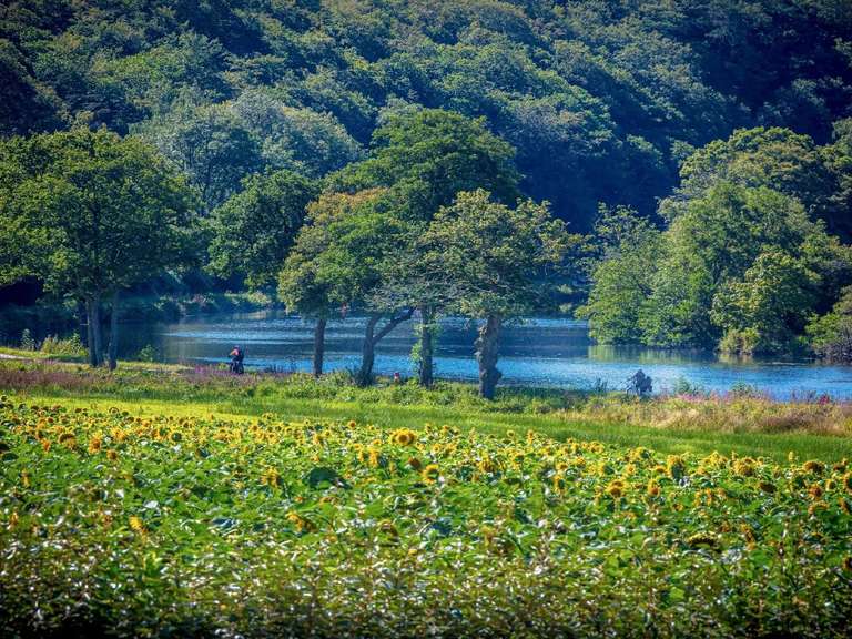 Propriété Lorient - 9 chambres - 270m²