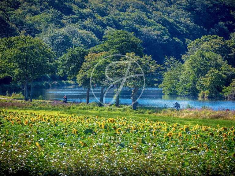 Propriété Lorient - 9 chambres - 270m²