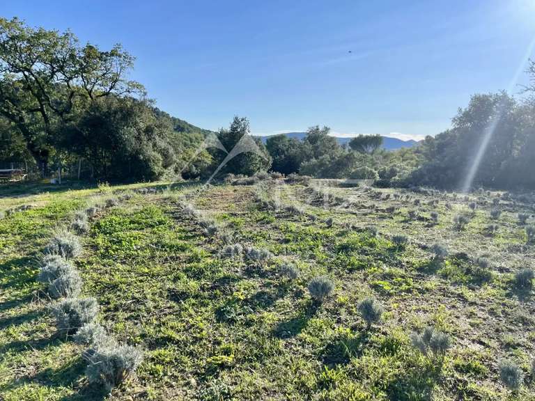 Domaine viticole Lourmarin - 16 chambres - 1400m²