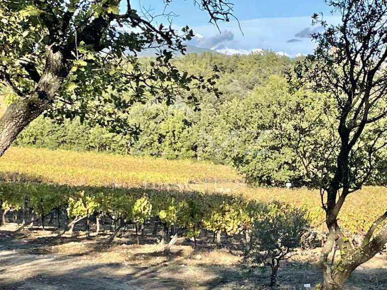 Domaine viticole Lourmarin - 16 chambres - 1400m²