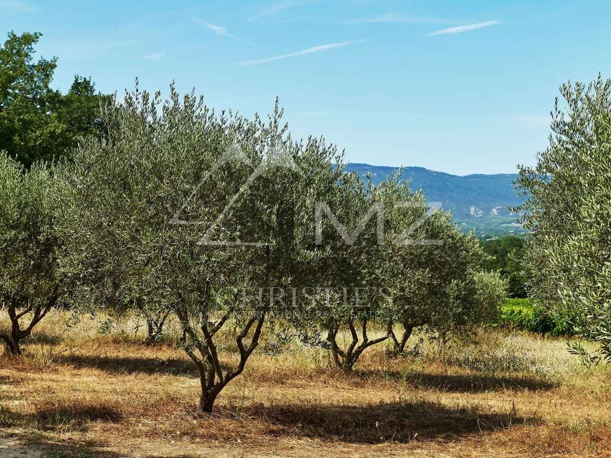Domaine viticole Lourmarin
