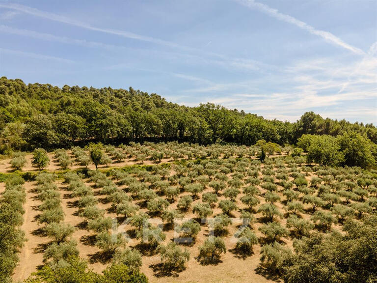 Maison Lourmarin - 8 chambres - 700m²