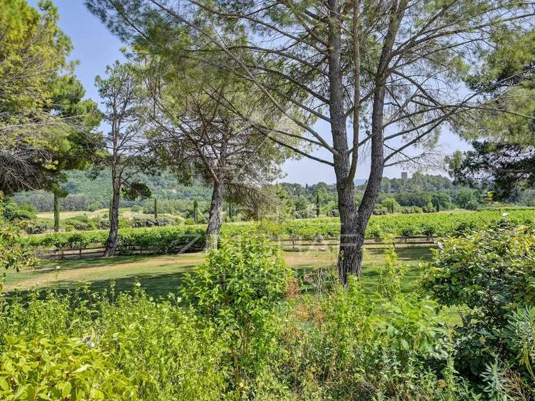 House Lourmarin - 7 bedrooms - 480m²