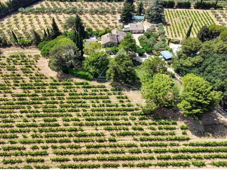House Lourmarin - 7 bedrooms - 480m²