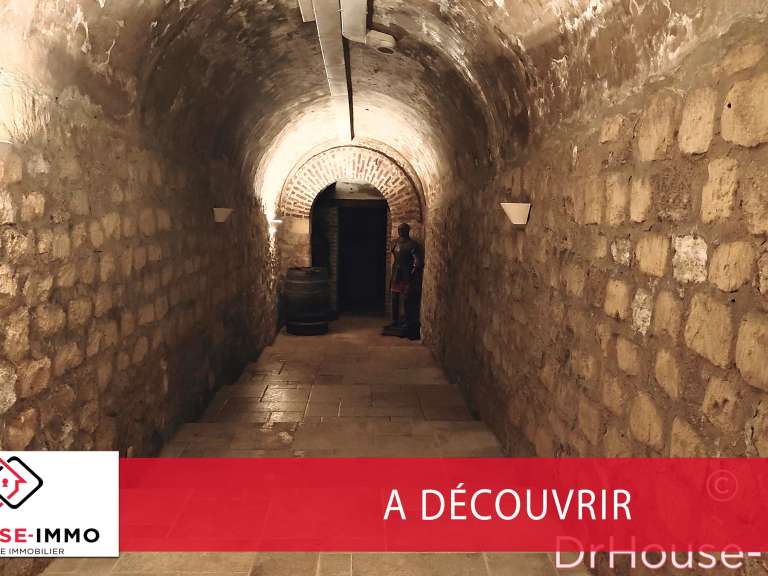 Villa Louveciennes - 5 chambres - 600m²