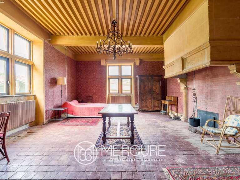 Propriété Lozanne - 7 chambres - 707m²