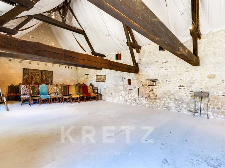 Maison Luçay-le-Mâle - 13 chambres - 1580m²