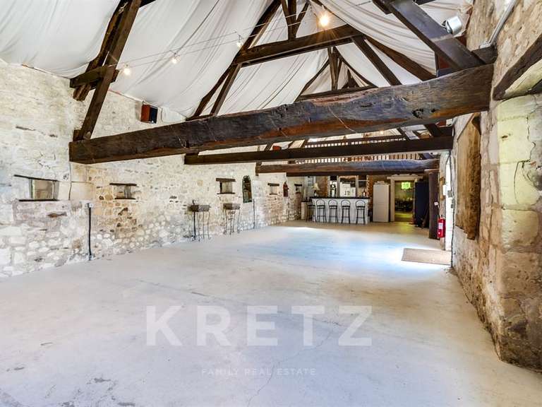 Maison Luçay-le-Mâle - 13 chambres - 1580m²