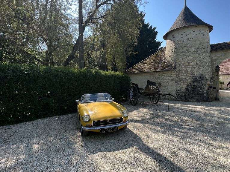 Maison Luçay-le-Mâle - 13 chambres - 1580m²