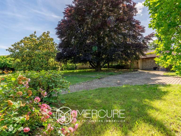Maison Lucenay - 4 chambres - 339m²