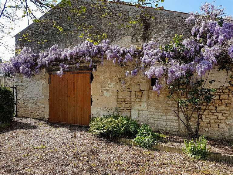 Maison Luçon - 5 chambres - 300m²