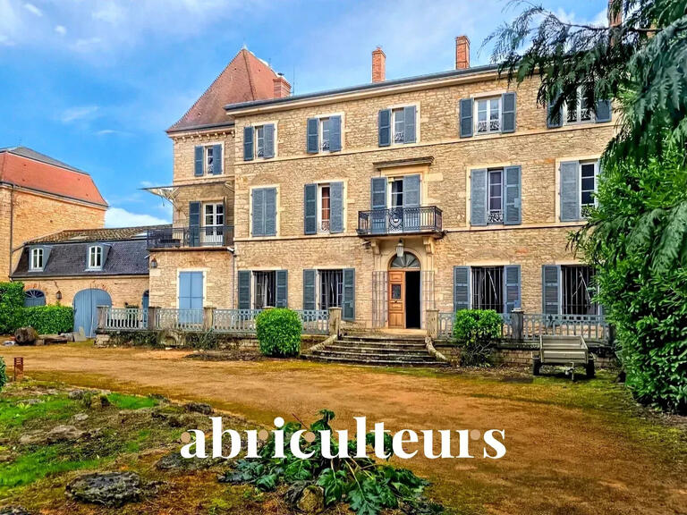 Maison Lugny - 8 chambres - 510m²