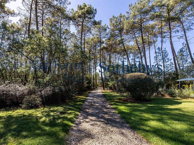 Maison Lugos - 4 chambres - 290m²