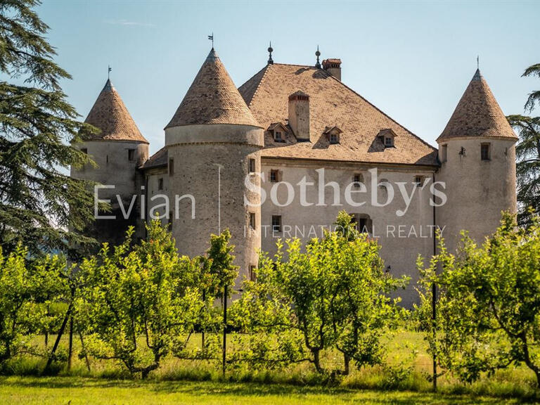 Château Lully - 14 chambres - 1204m²