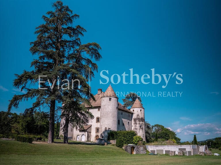 Château Lully - 14 chambres - 1204m²