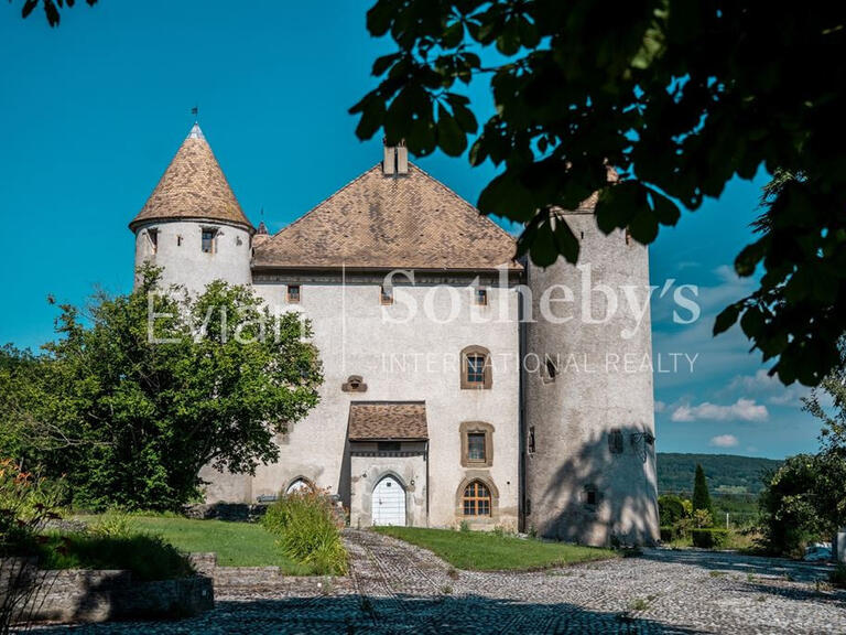 Château Lully - 14 chambres - 1204m²