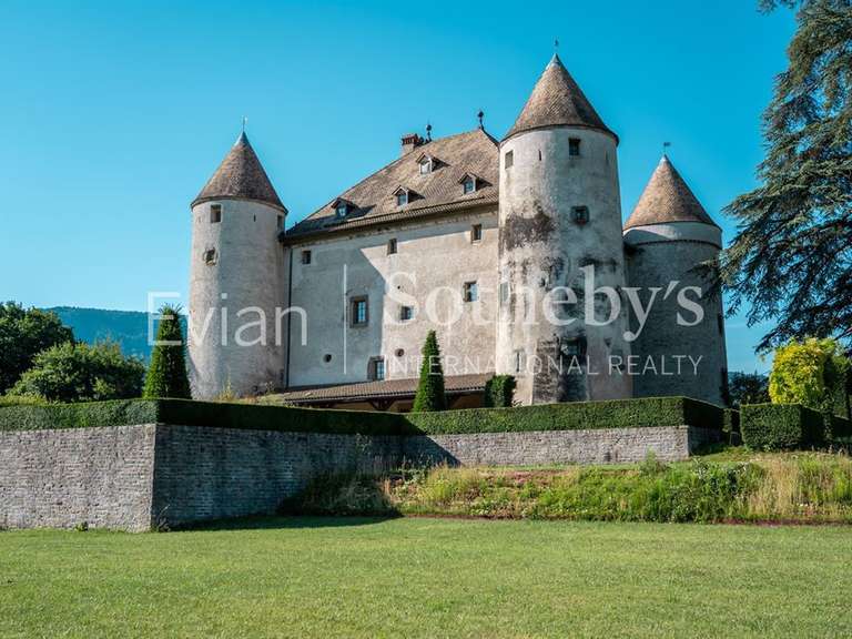 Château Lully - 14 chambres - 1204m²