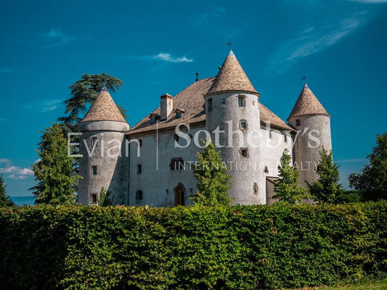 Château Lully - 14 chambres - 1204m²