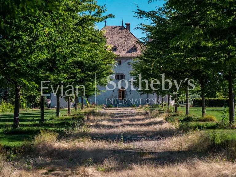 Château Lully - 14 chambres - 1204m²
