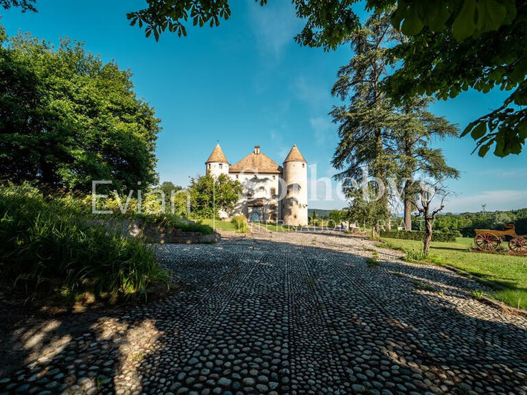 Château Lully - 14 chambres - 1204m²