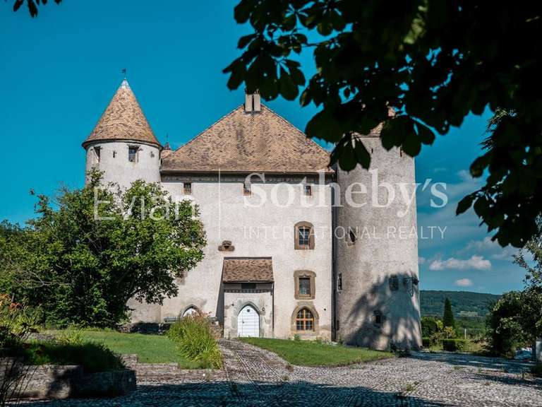 Château Lully - 14 chambres - 1204m²
