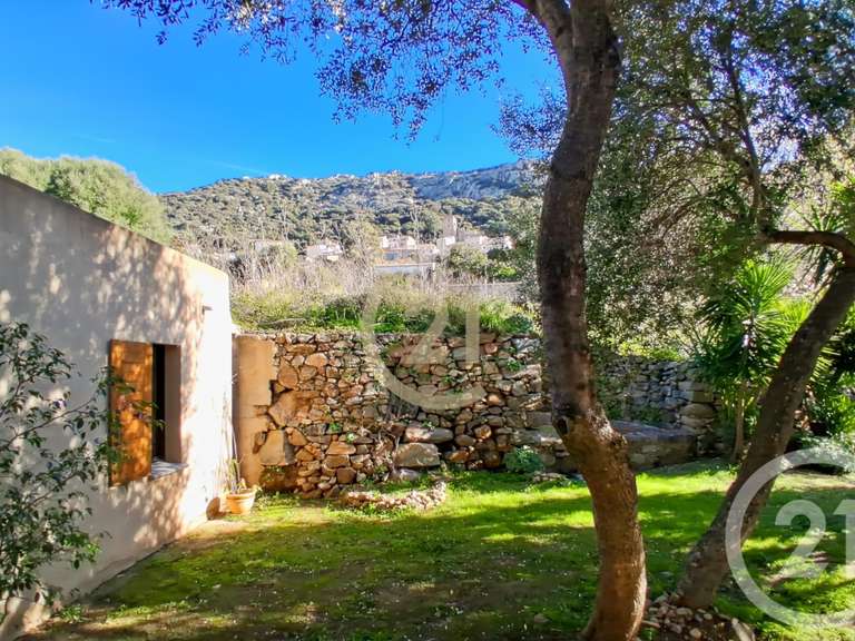 Maison avec Vue sur mer Lumio - 3 chambres - 130m²