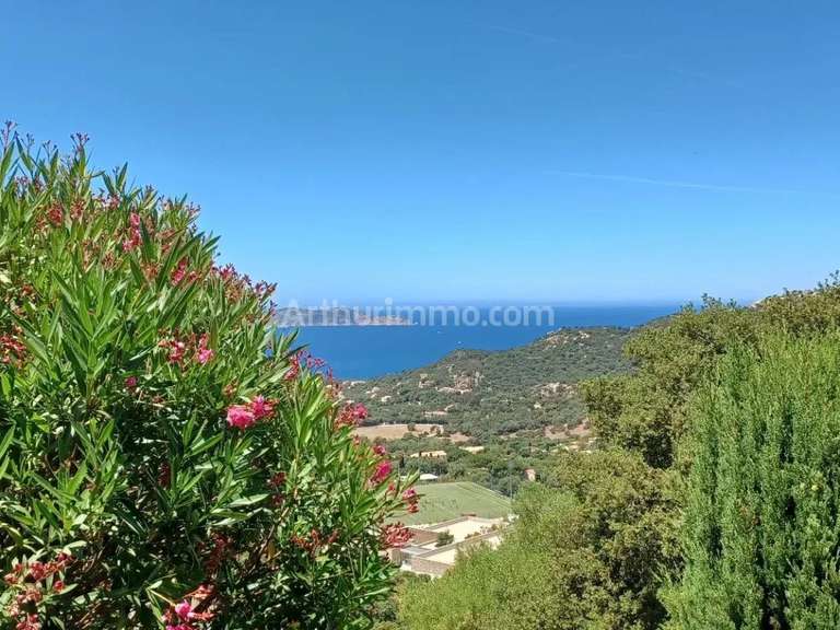 Maison avec Vue sur mer Lumio - 4 chambres - 144m²