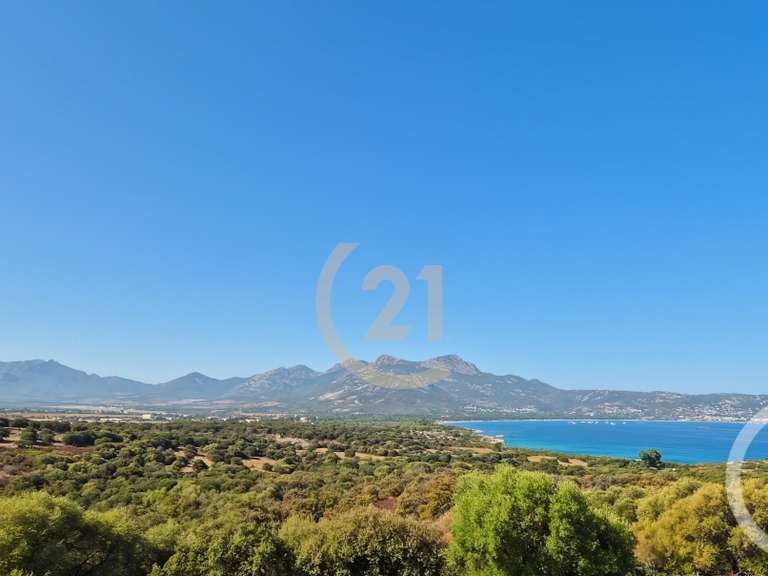 Maison avec Vue sur mer Lumio - 3 chambres - 121m²