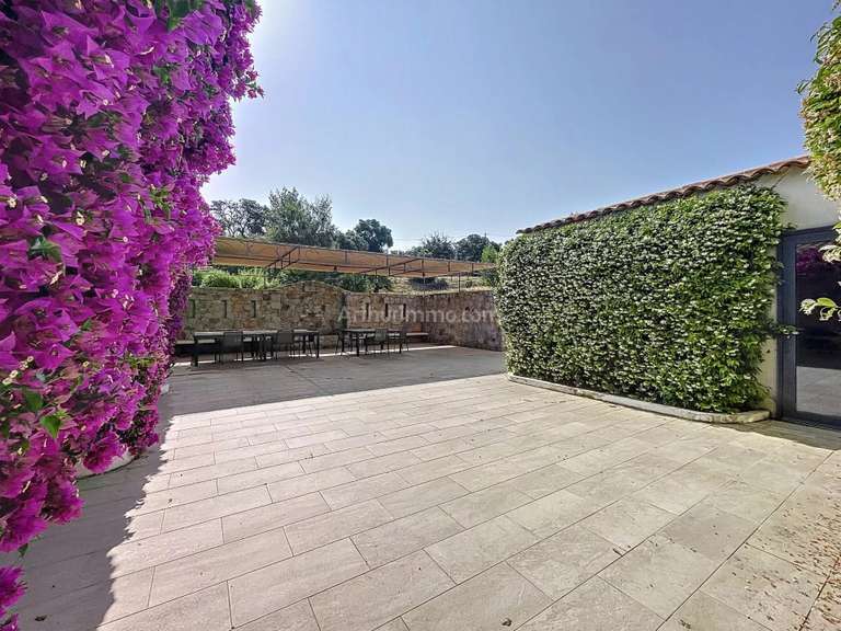 Propriété Lumio - 378m²