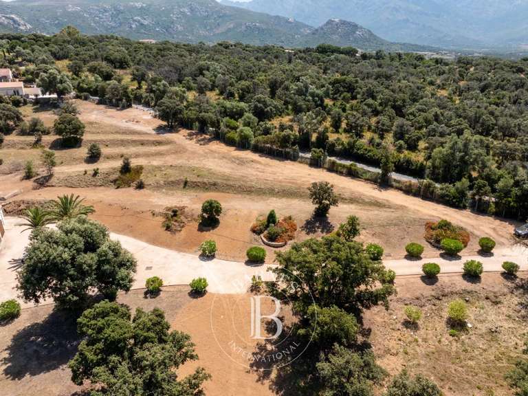 Terrain avec Vue sur mer Lumio - 1850m²