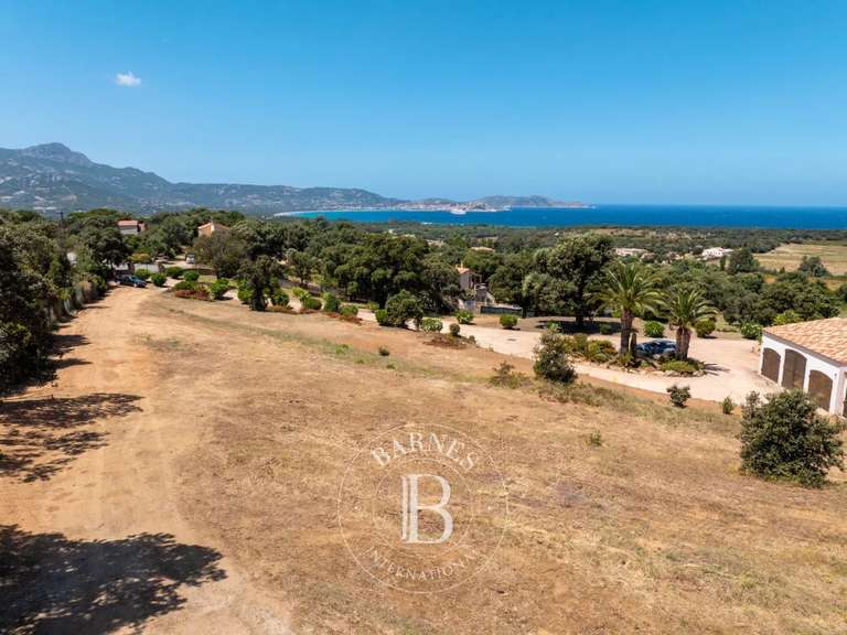 Terrain avec Vue sur mer Lumio - 1850m²