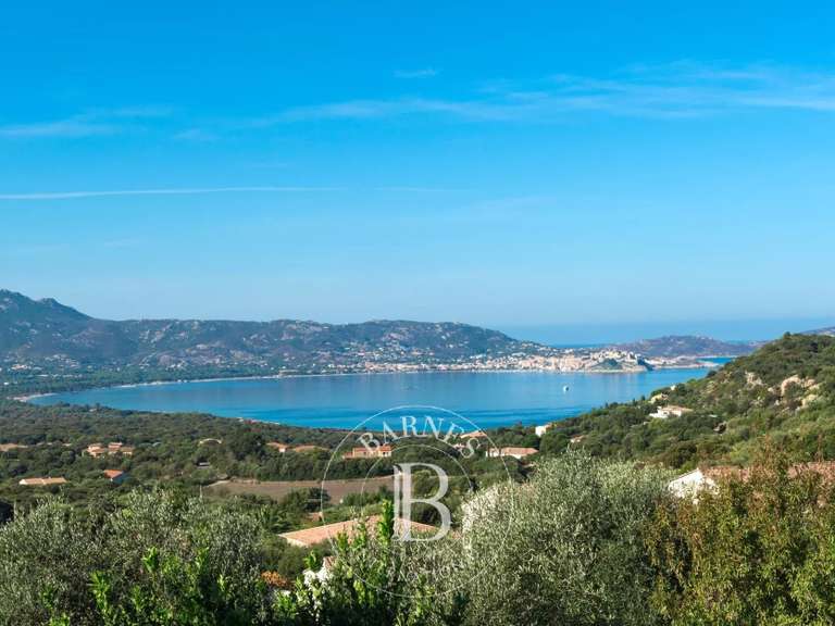 Villa avec Vue sur mer Lumio - 4 chambres - 360m²