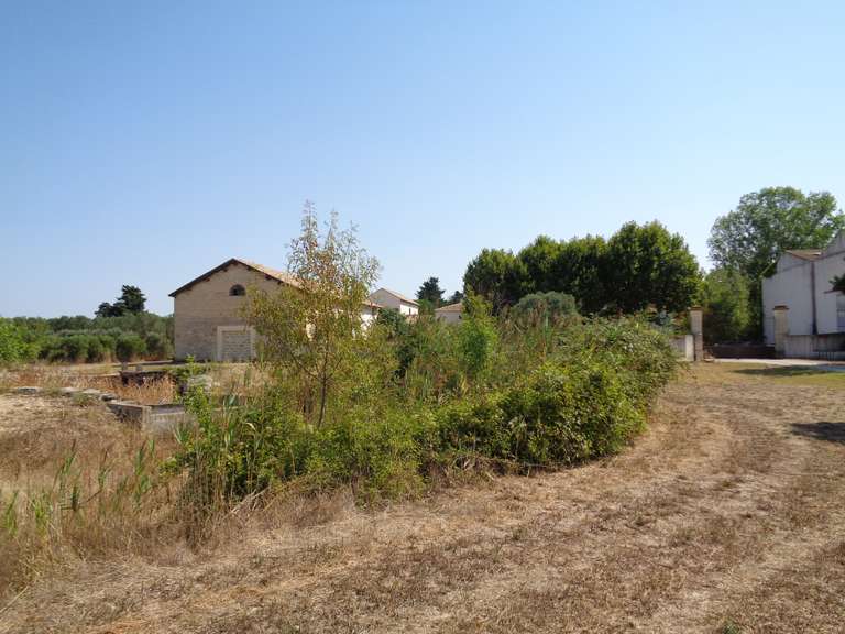 Maison Lunel - 10 chambres - 600m²