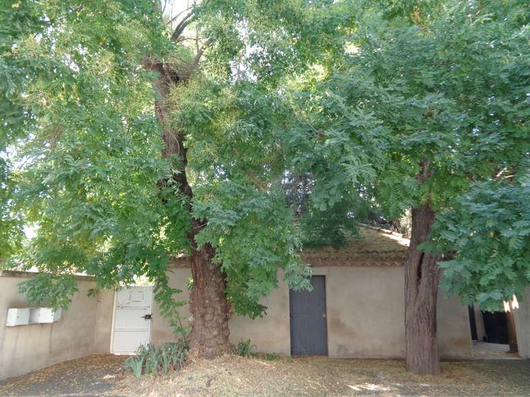 Maison Lunel - 13 chambres - 800m²