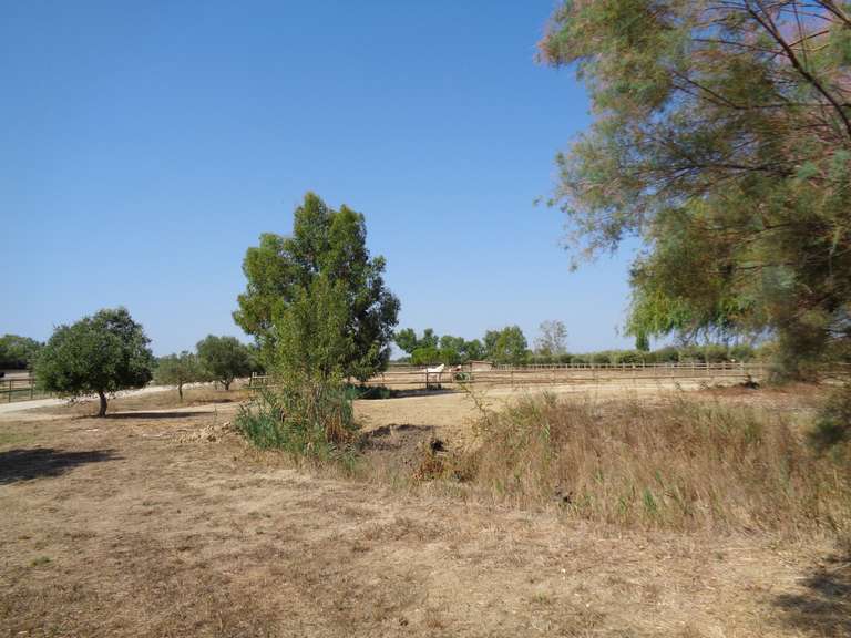 Maison Lunel - 13 chambres - 800m²