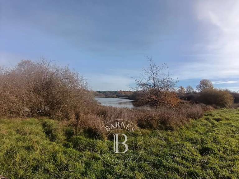 Propriété Lusigny - 4 chambres - 150m²