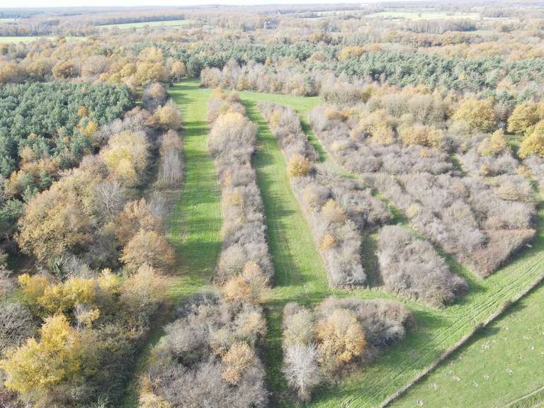 Propriété Lusigny - 4 chambres - 150m²