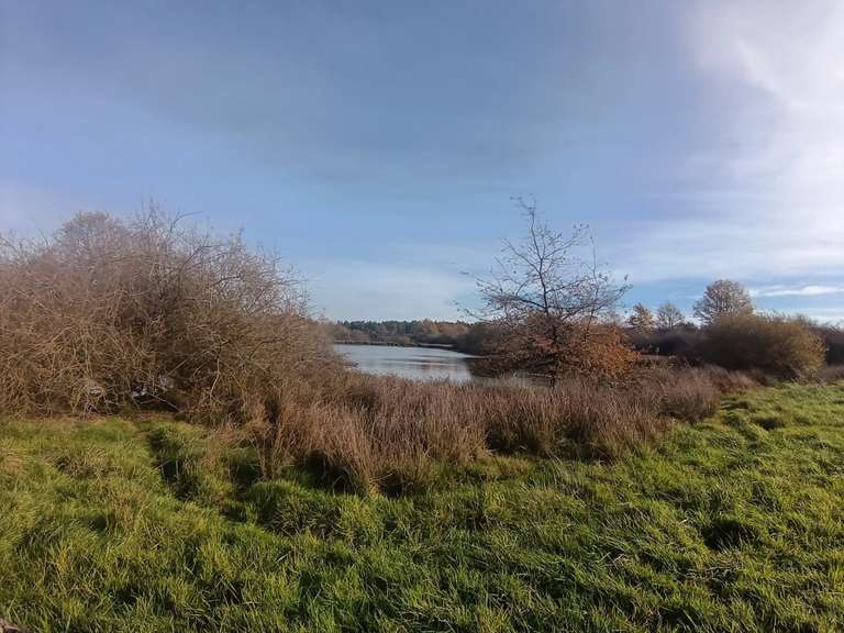 Propriété Lusigny - 4 chambres - 150m²