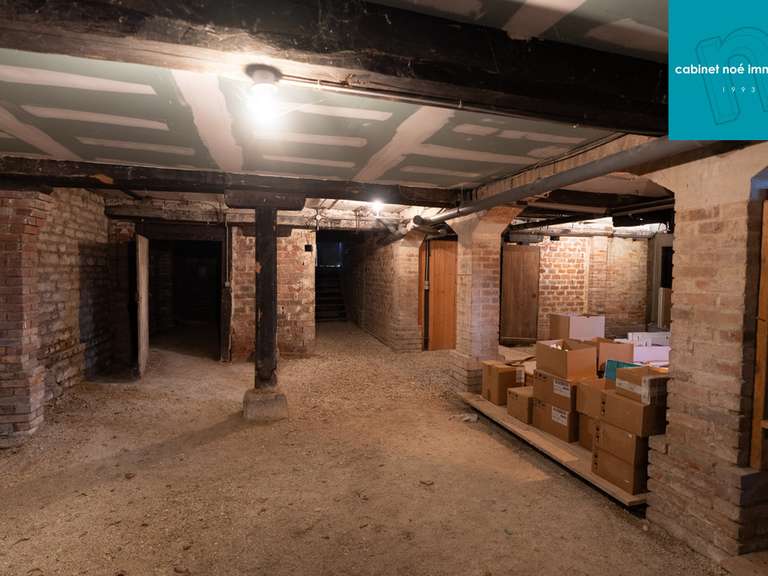 Maison Lusigny-sur-Barse - 4 chambres - 233m²