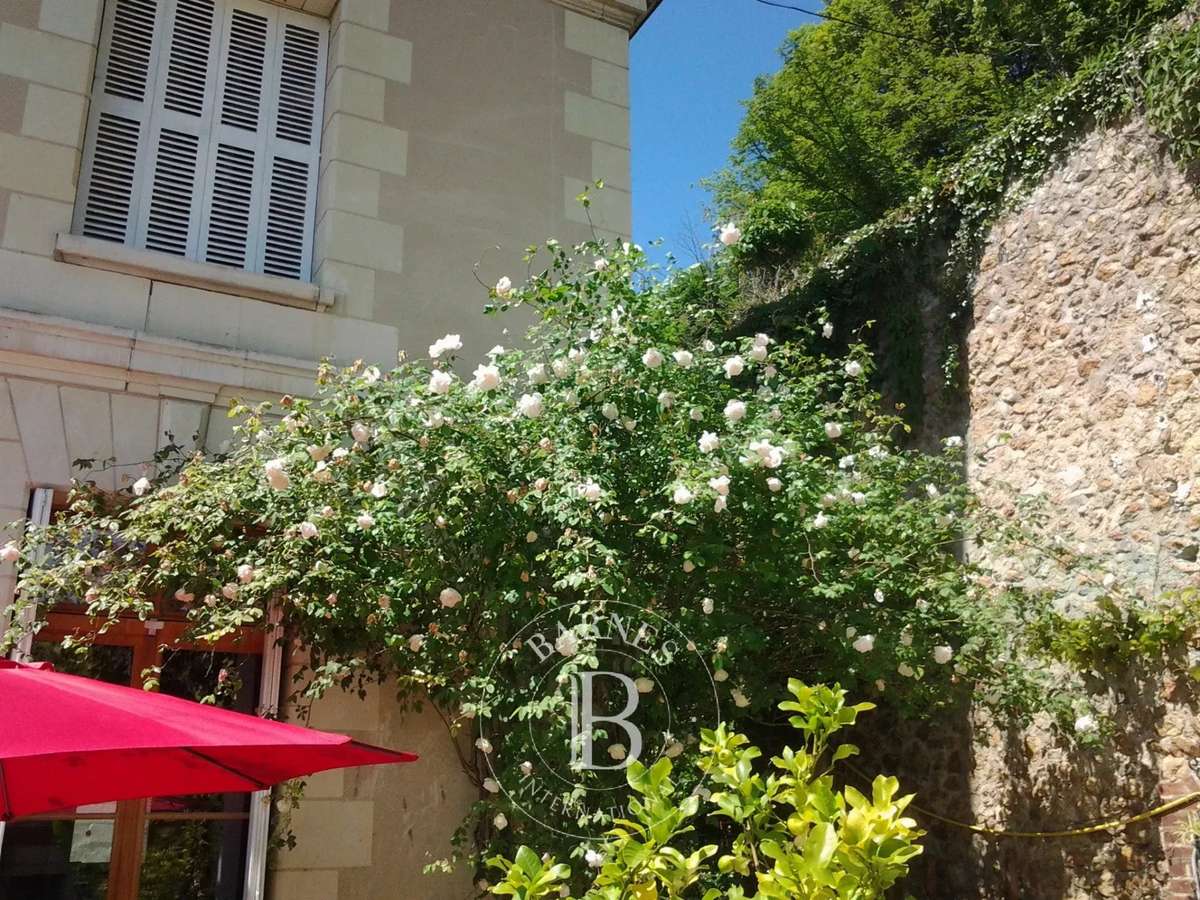 Maison Luynes
