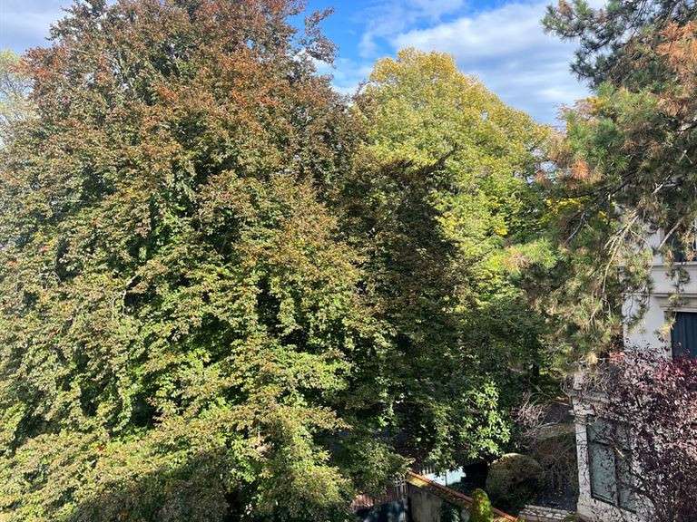 Appartement Lyon 6e - 4 chambres - 225m²