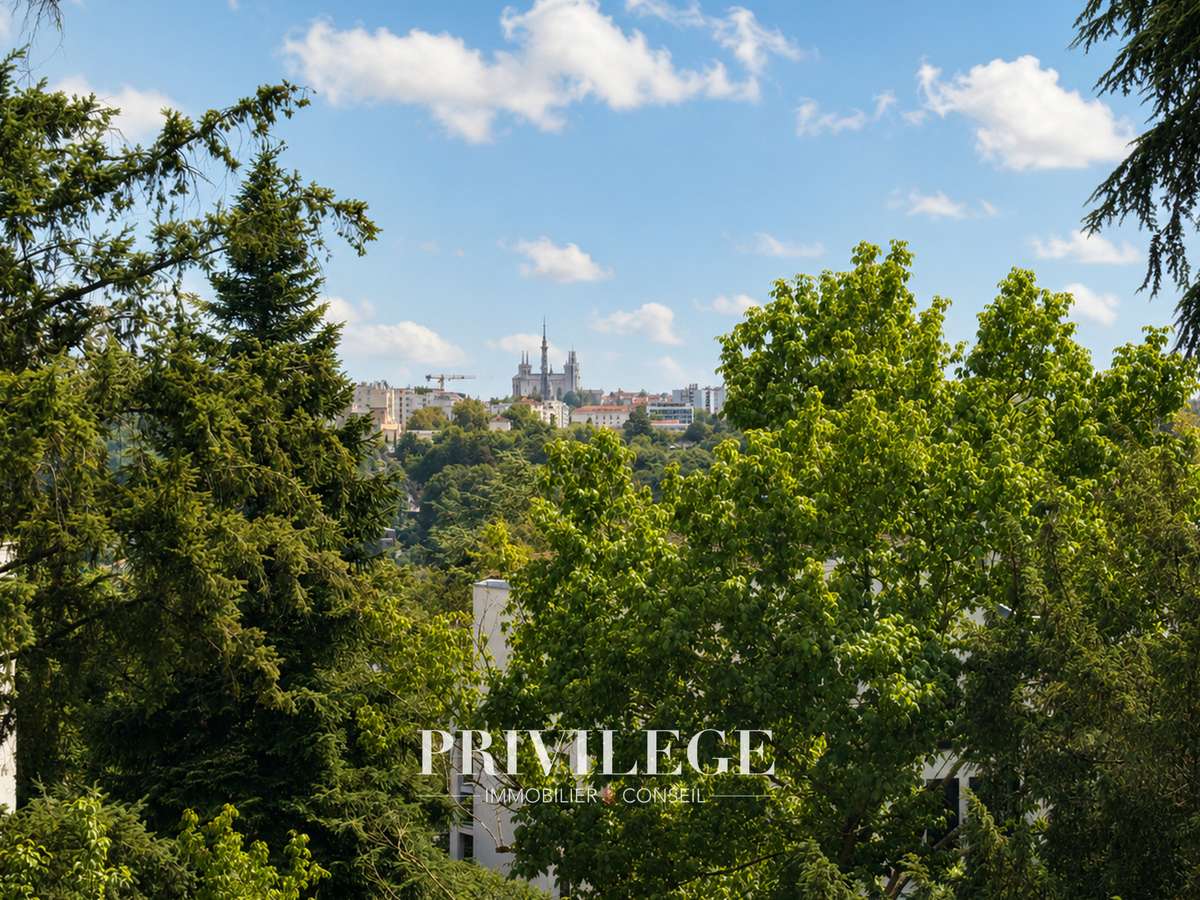 Appartement Lyon 9e