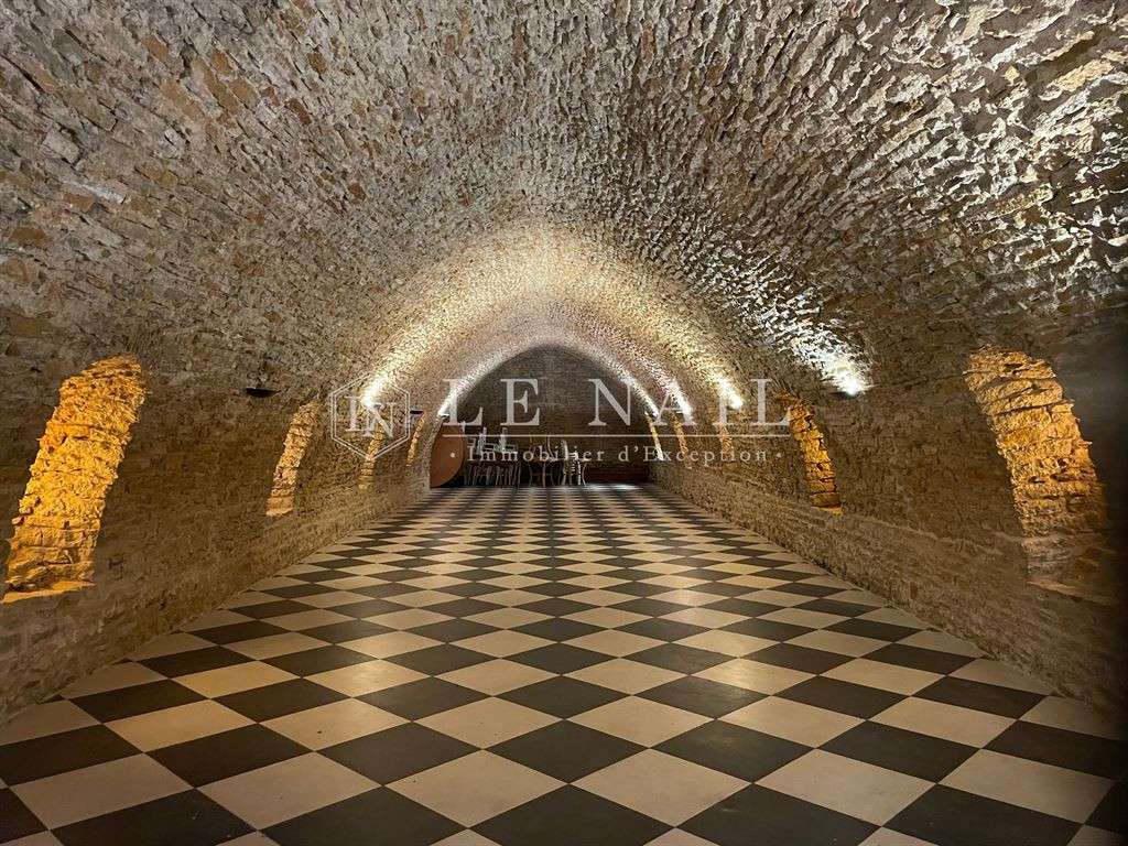 Castle Mâcon