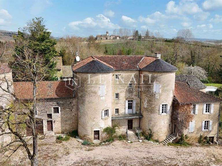 Castle Mâcon - 17 bedrooms - 930m²