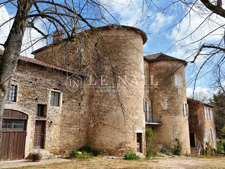Castle Mâcon - 17 bedrooms - 930m²