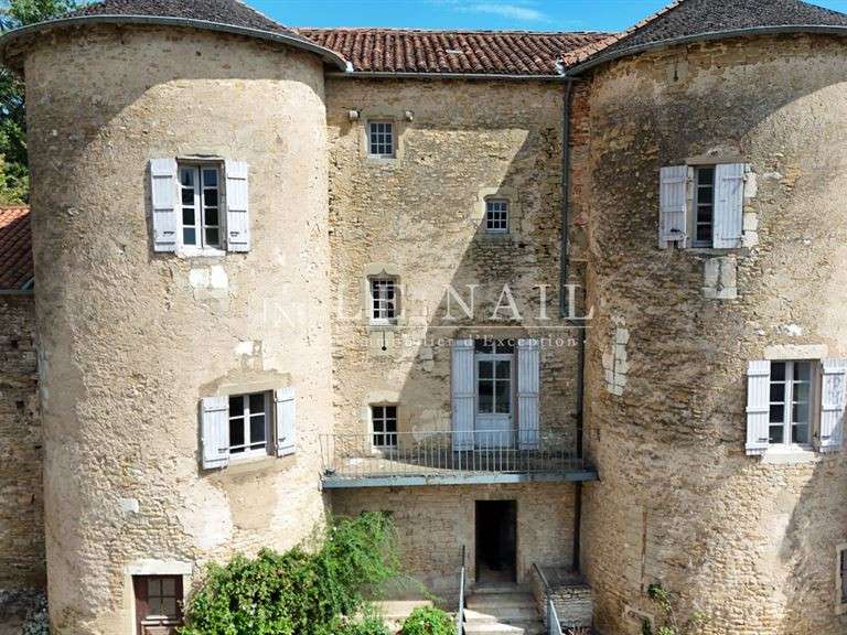 Castle Mâcon - 17 bedrooms - 930m²