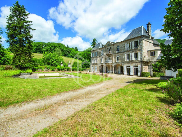 Vente Château Madic - 7 chambres