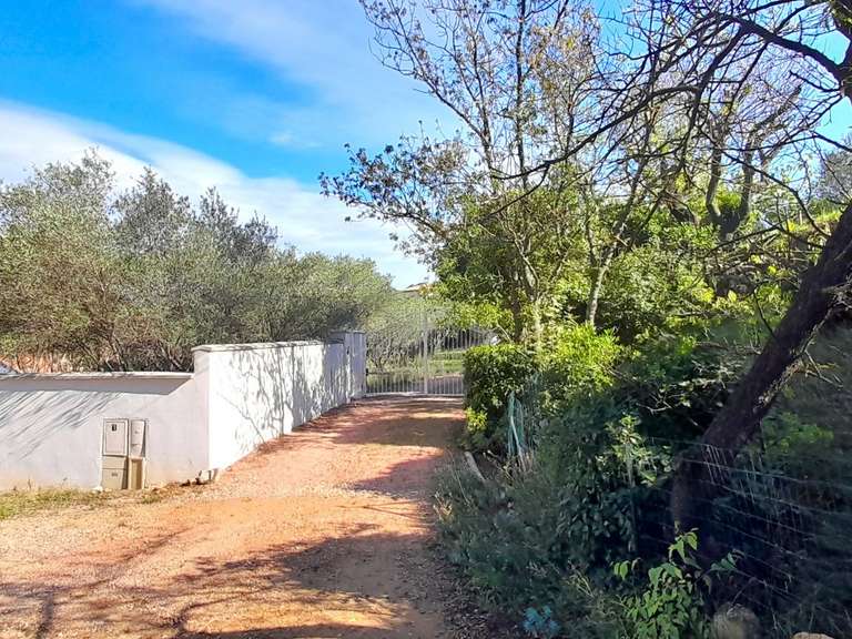 Maison Magalas - 5 chambres - 250m²